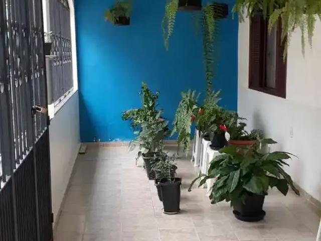 Casa venda em Alegre