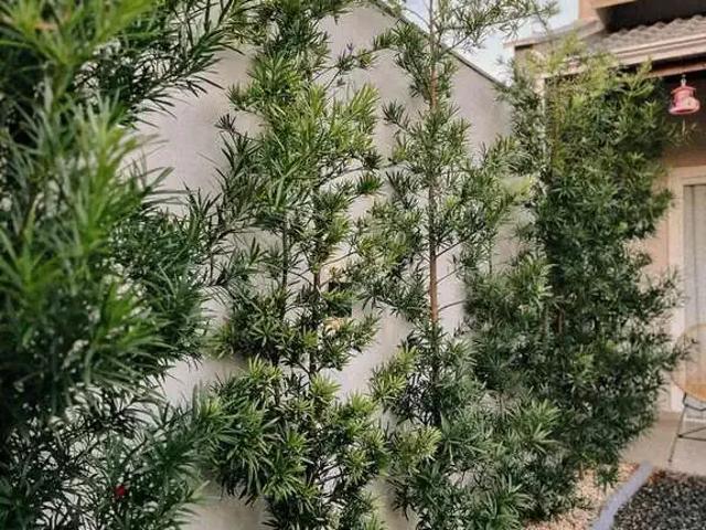 Casa venda em Região Geográfica Imediata de Joinville, Araquari
