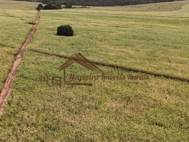 Casa venda em Região Imediata de Avaré, Avaré
