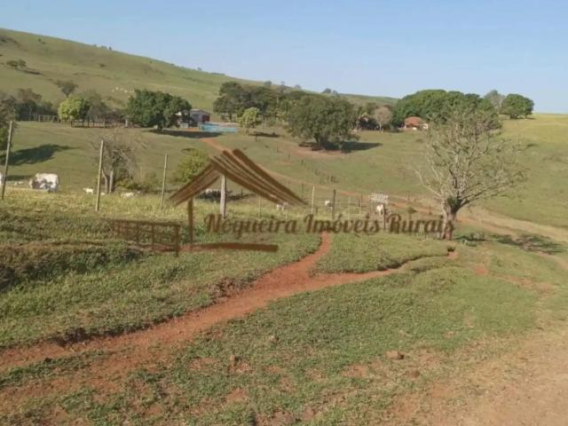 Casa venda em Região Geográfica Imediata de Cornélio Procópio-Bandeirantes, Bandeirantes