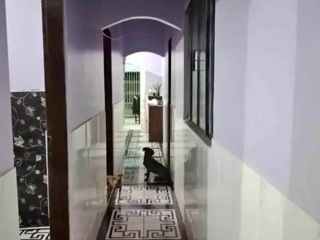 Casa venda em Região Geográfica Imediata de Belém, Belém