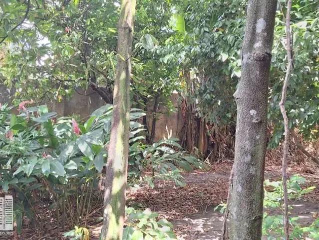Casa venda em Região Geográfica Imediata de Belém, Belém