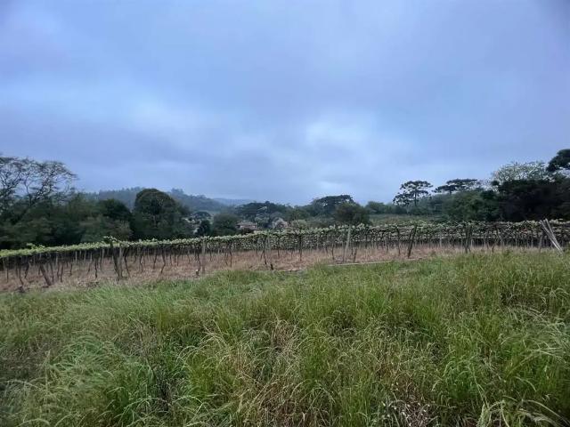 Casa venda em Região Geográfica Imediata de Bento Gonçalves, Bento Gonçalves