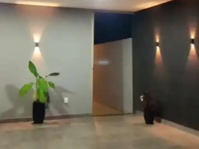 Casa venda em Região Geográfica Imediata do Distrito Federal, Região Integrada de Desenvolvimento do Distrito Federal e Entorno