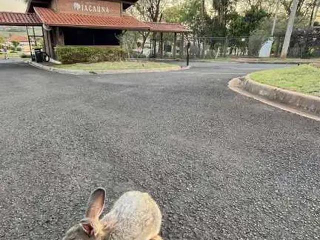 Casa venda em Região Imediata de Jaú, Brotas