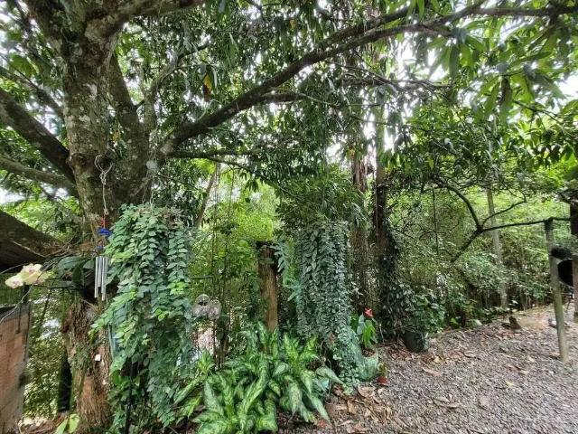 Casa venda em Região Geográfica Imediata de Brusque, Brusque