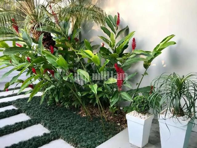 Casa venda em Região Geográfica Imediata de Brusque, Brusque
