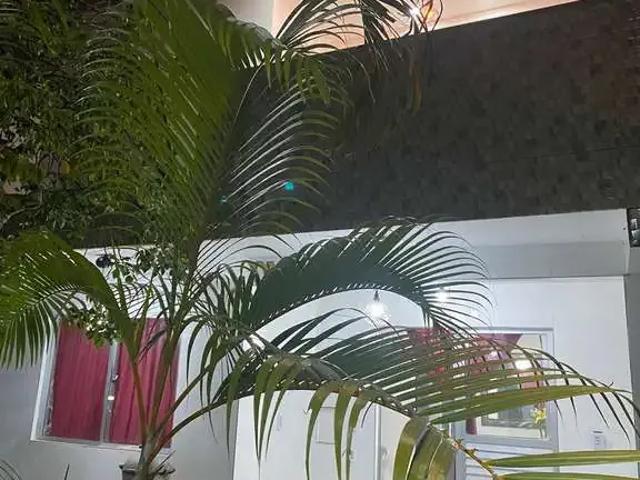 Casa venda em Região Geográfica Imediata de Salvador, Região Metropolitana de Salvador