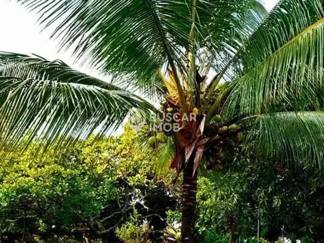 Casa venda em Região Geográfica Imediata de Salvador, Região Metropolitana de Salvador