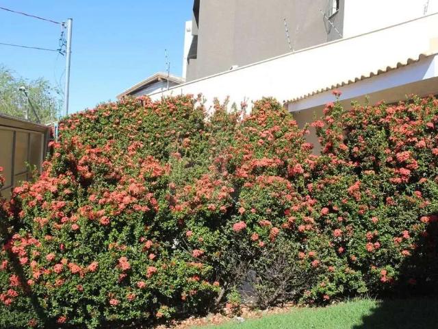 Casa venda em Região Geográfica Imediata de Campo Grande, Campo Grande