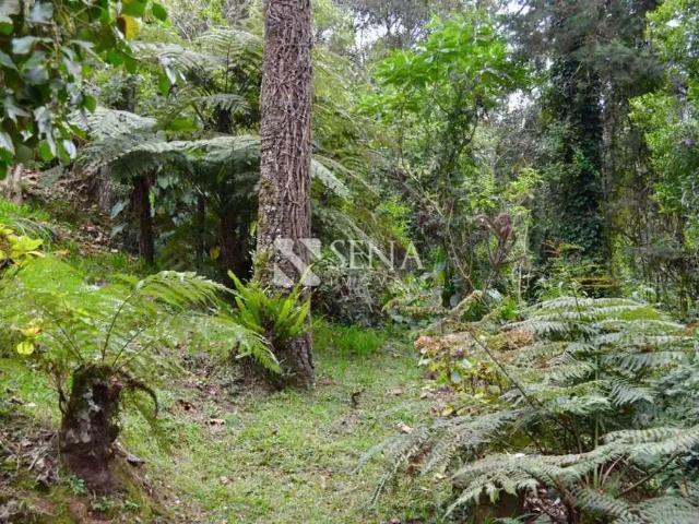 Casa venda em Região Imediata de Taubaté-Pindamonhangaba, Região Metropolitana do Vale do Paraíba e Litoral Norte
