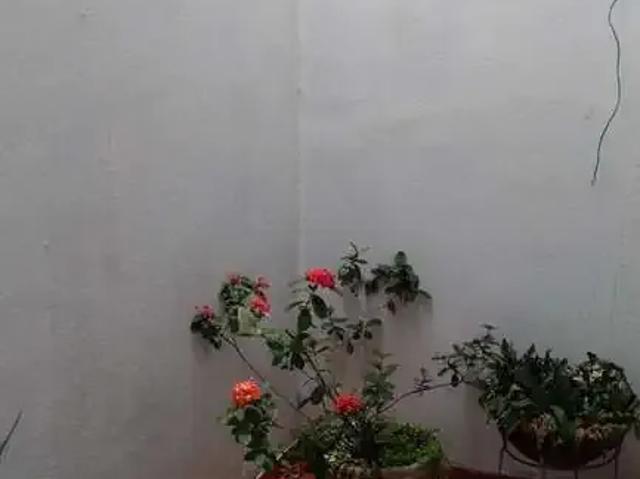 Casa venda em Região Geográfica Imediata de Campos dos Goytacazes, Campos dos Goytacazes