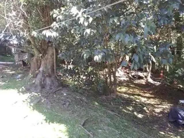 Casa venda em Região Geográfica Imediata de Caxias do Sul, Canela