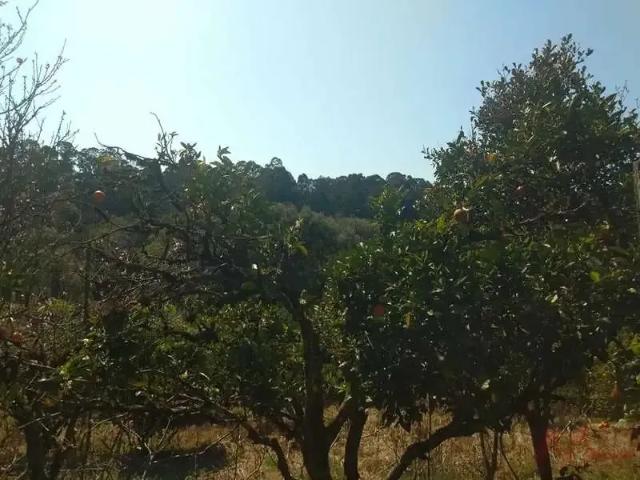 Casa venda em Região Geográfica Imediata de Caxias do Sul, Canela