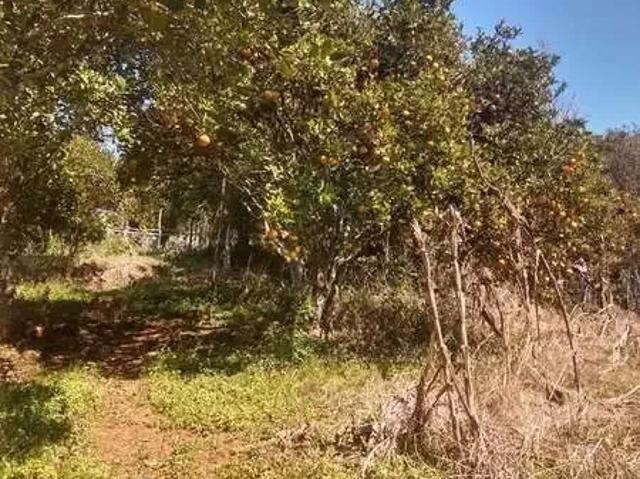 Casa venda em Região Geográfica Imediata de Caxias do Sul, Canela