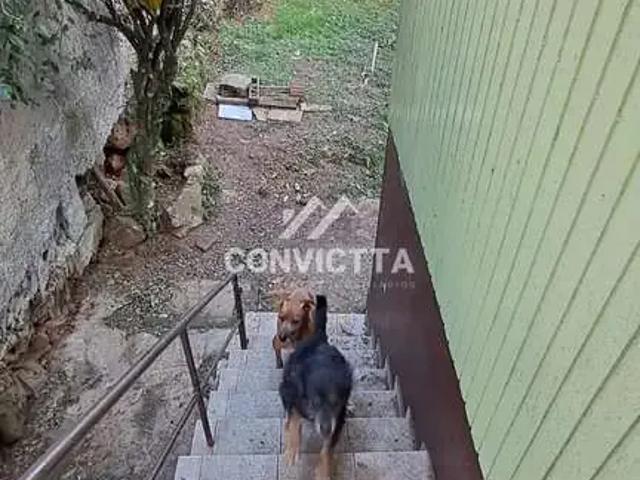 Casa venda em Região Geográfica Imediata de Caxias do Sul, Flores da Cunha