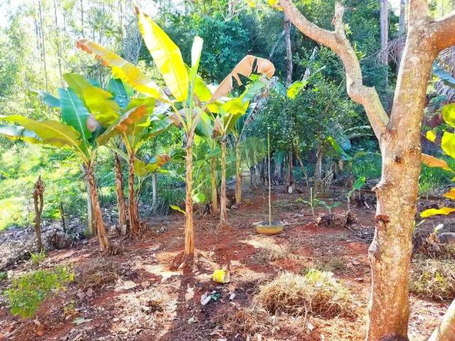 Casa venda em Região Geográfica Imediata de Nova Friburgo, Santa Maria Madalena