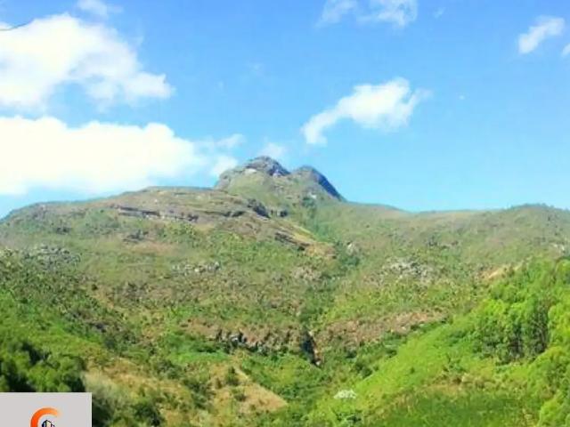 Casa venda em Região Geográfica Imediata de Governador Valadares, Conselheiro Pena