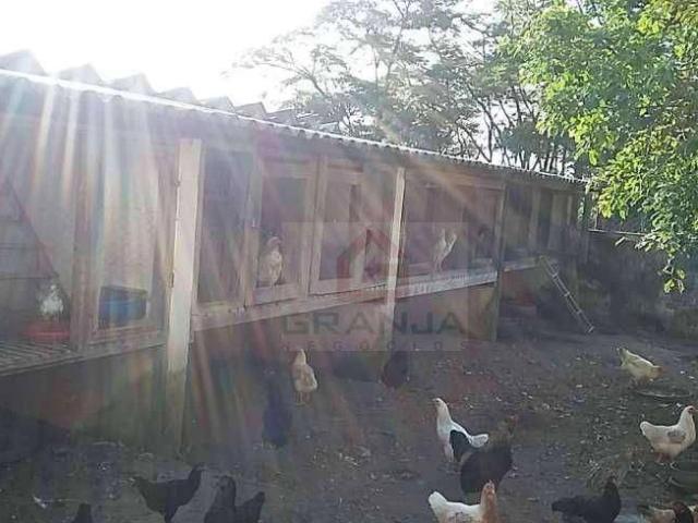 Casa venda em Jardim Claúdio, Cotia