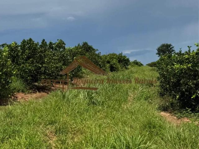 Casa venda em Região Imediata de Fernandópolis, Fernandópolis