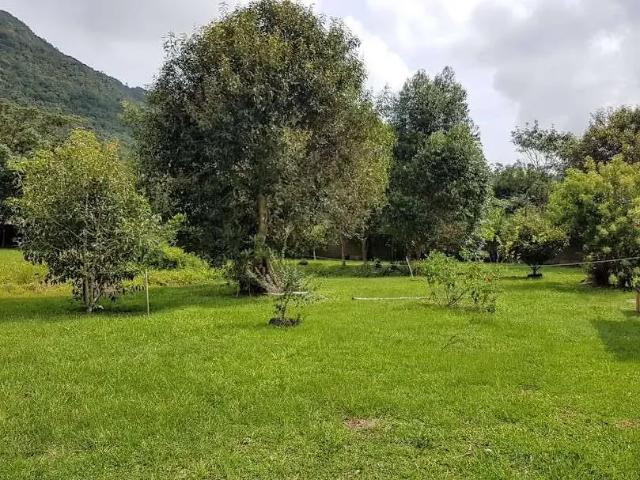 Casa venda em Região Geográfica Imediata de Florianópolis, Desterro