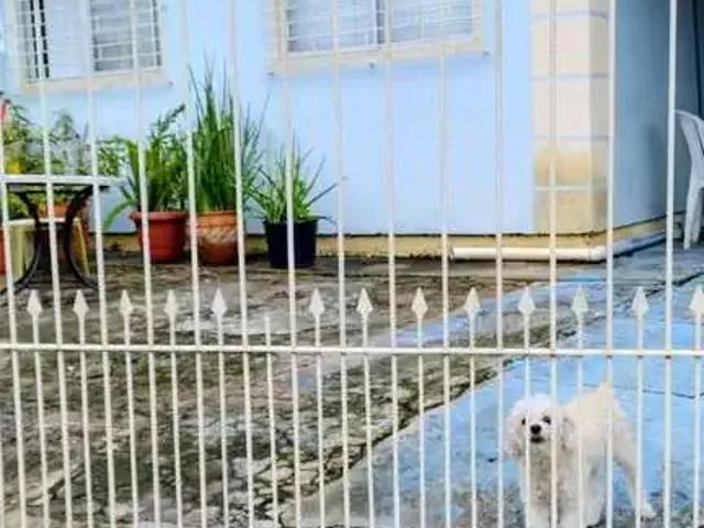 Casa venda em Região Geográfica Imediata de Florianópolis, Desterro