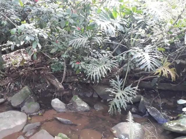 Casa venda em Região Geográfica Imediata de Florianópolis, Garopaba