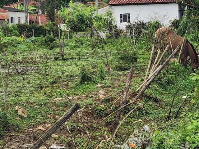 Casa venda em Região Imediata de Guaratinguetá, Região Metropolitana do Vale do Paraíba e Litoral Norte