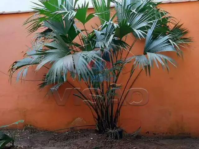 Casa venda em Região Imediata de Campinas, Região Metropolitana de Campinas