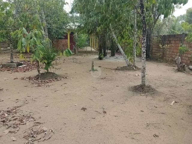 Casa venda em Região Geográfica Imediata de Manaus, Caapiranga