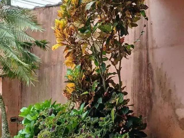 Casa venda em Região Imediata de Santos, Região Metropolitana da Baixada Santista