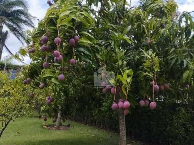 Casa venda em Região Imediata de Jundiaí, Itupeva