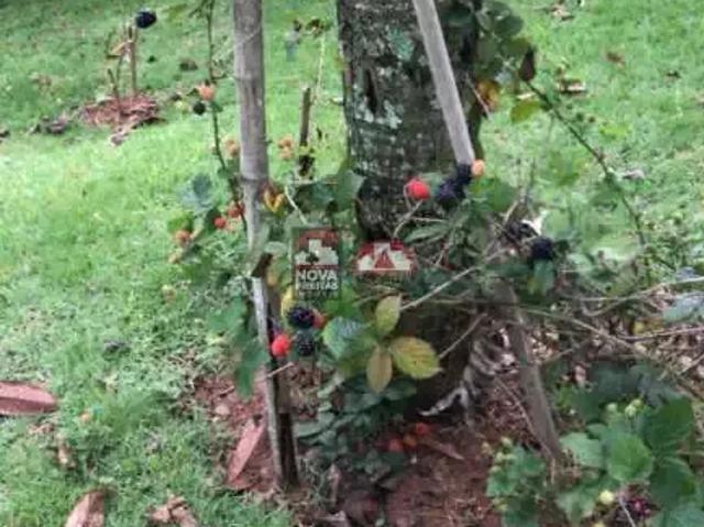 Casa venda em Região Imediata de São José dos Campos, Região Metropolitana do Vale do Paraíba e Litoral Norte