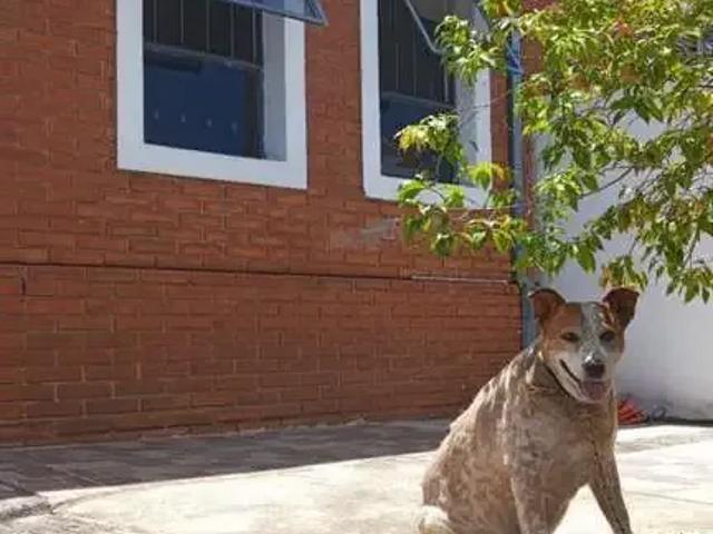 Casa venda em Região Imediata de Limeira, Região Metropolitana de Piracicaba