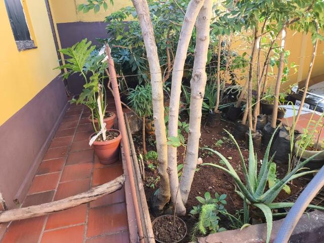 Casa venda em Região Geográfica Imediata de Londrina, Londrina