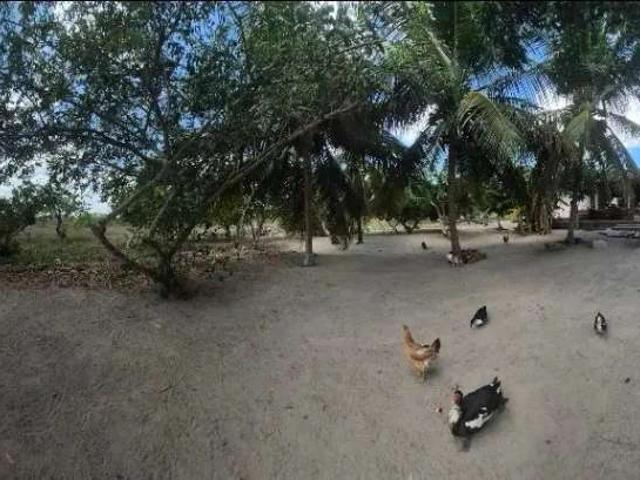 Casa venda em Macaíba