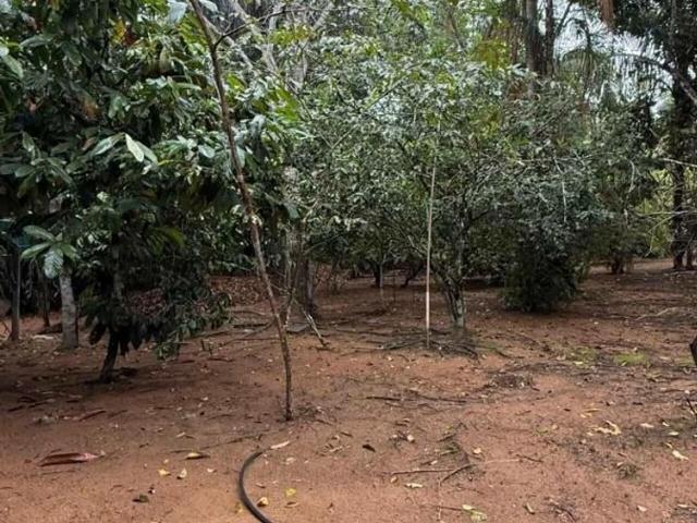 Casa venda em Região Geográfica Imediata de Manaus, Itamarati