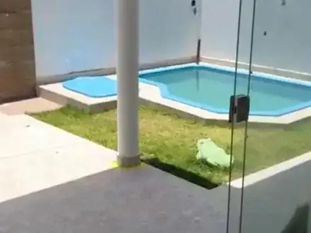 Casa venda em Região Geográfica Imediata de Maceió, Marechal deodoro