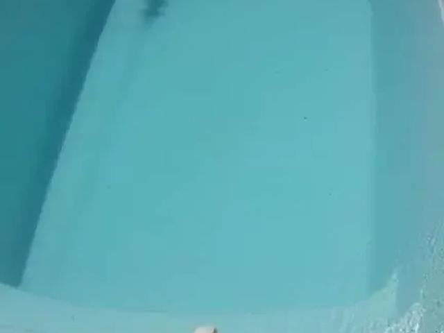 Casa venda em Região Imediata de Mogi Guaçu, Mogi Guaçu
