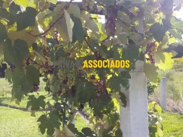 Casa venda em Região Geográfica Imediata de Pelotas, Morro Redondo