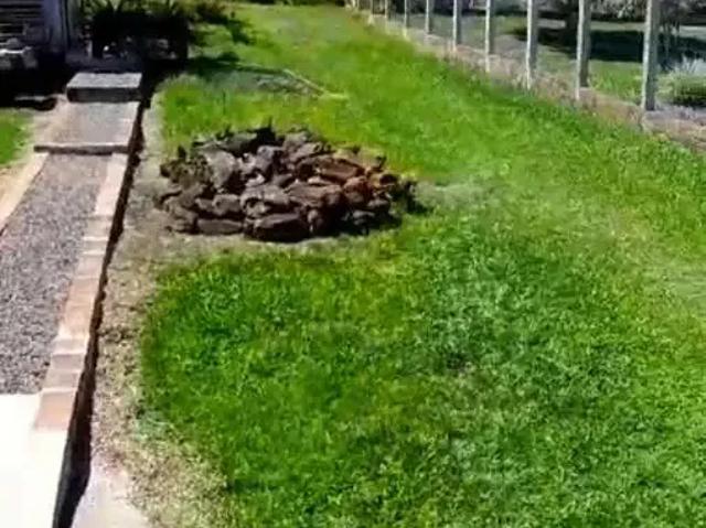 Casa venda em Região Geográfica Imediata de Novo Hamburgo - São Leopoldo, Morro Reuter