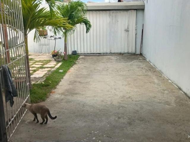 Casa venda em Conjunto Cidade Satélite, Natal