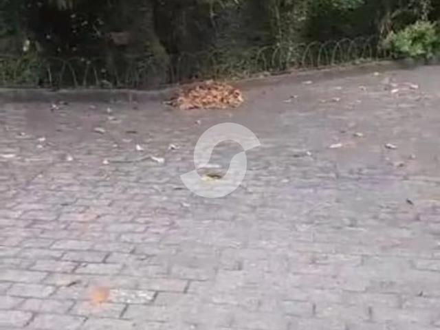 Casa venda em Região Pendotiba, Niterói