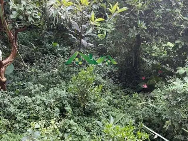 Casa venda em Região Geográfica Imediata de Nova Friburgo, Nova Friburgo