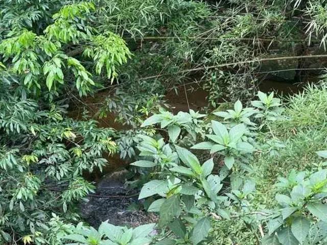 Casa venda em Região Geográfica Imediata de Nova Friburgo, Nova Friburgo