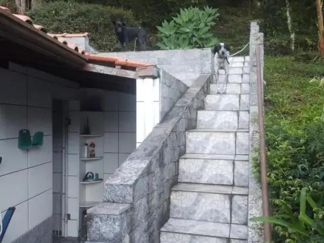 Casa venda em Região Geográfica Imediata de Nova Friburgo, Nova Friburgo