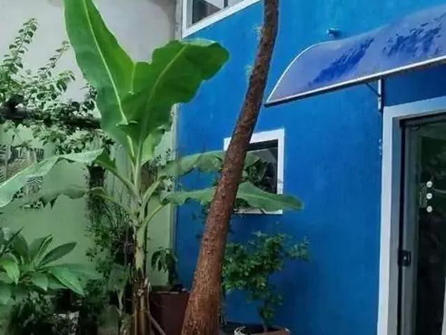 Casa venda em Região Imediata de Limeira, Região Metropolitana de Piracicaba