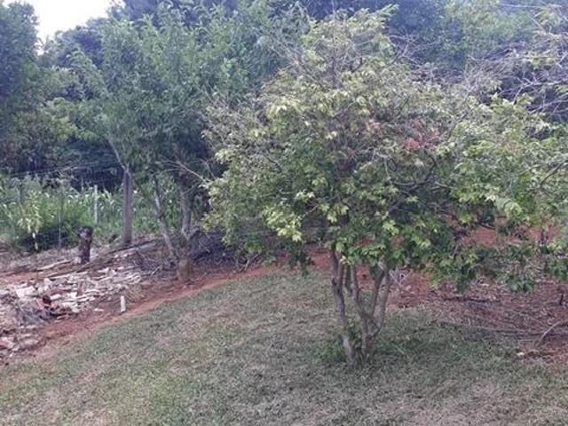 Casa venda em Nova Petrópolis, Região Geográfica Intermediária de Caxias do Sul