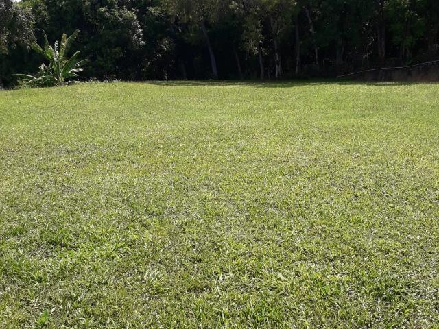Casa venda em Jatobá, Olinda