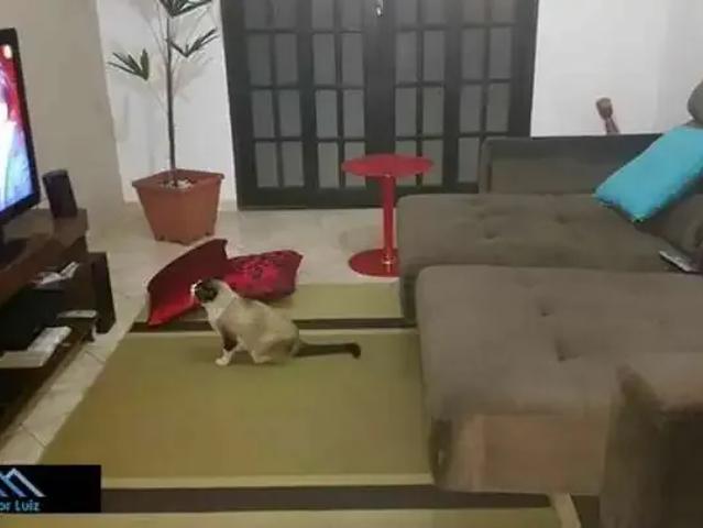 Casa venda em Região Imediata de São Paulo, Região Metropolitana de São Paulo